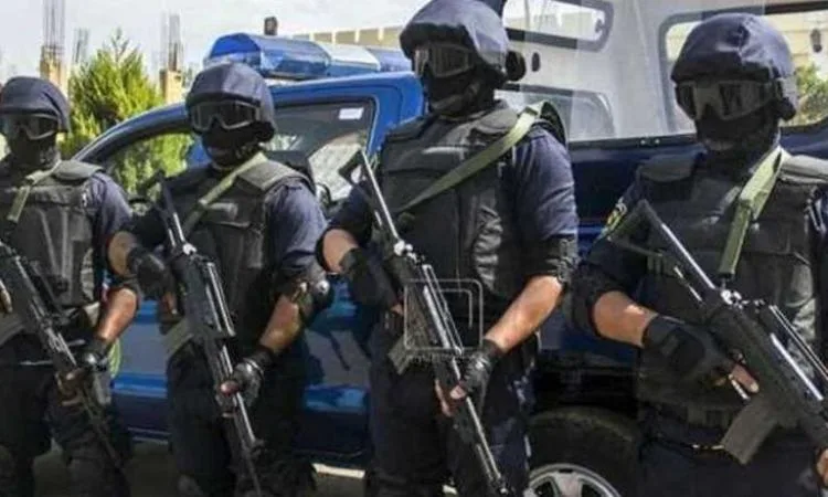 الأجهزة الأمنية تنفذ 141 حكمًا قضائيًا جنائيًا في جميع أنحاء البلاد خلال 24 ساعة الأجهزة الأمنية تنفذ 141 حكمًا قضائيًا جنائيًا في جميع أنحاء البلاد خلال 24 ساعة