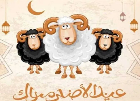 الأيام المباركة.. موعد صيام العشر الأوائل من ذي الحجة 1446 وفضلها الأيام المباركة.. موعد صيام العشر الأوائل من ذي الحجة 1446 وفضلها