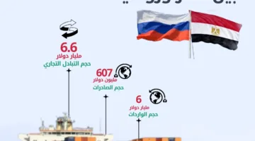الإحصاء: 15.8% ارتفاعاً في حجم الصادرات المصرية إلى روسيا خلال عام 2024