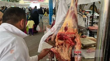 الإحصاء: انخفاض أسعار اللحوم والدواجن 3.5%.. والفاكهة بنسبة 5.1% خلال أبريل
