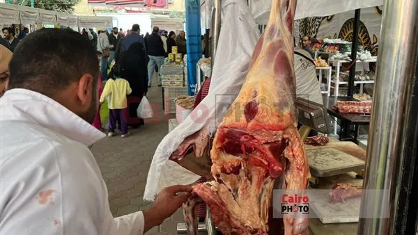 الإحصاء: انخفاض أسعار اللحوم والدواجن 3.5%.. والفاكهة بنسبة 5.1% خلال أبريل الإحصاء: انخفاض أسعار اللحوم والدواجن 3.5%.. والفاكهة بنسبة 5.1% خلال أبريل