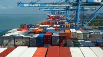 الإحصاءات: زيادة قدرها 24.1% في قيمة الصادرات خلال فبراير 2025