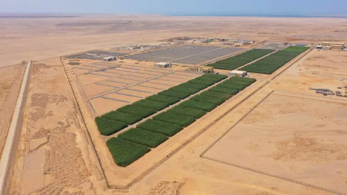 «الإسكان» تستجيب لـ 4 مطالب من «صناعة التطوير العقاري» «الإسكان» تستجيب لـ 4 مطالب من «صناعة التطوير العقاري»