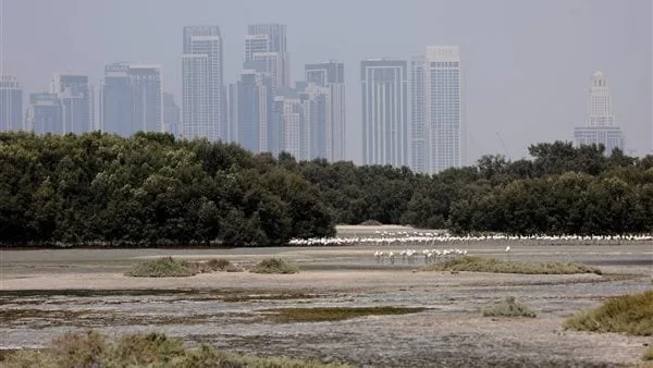 الإمارات اليوم.. رياح شديدة مغبرة وانخفاض ملحوظ في درجات الحرارة الإمارات اليوم.. رياح شديدة مغبرة وانخفاض ملحوظ في درجات الحرارة