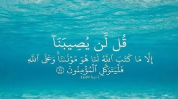 الإيمان بالقضاء والقدر .. دلائل وثمرات