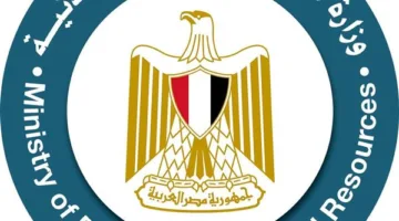 لعنة الطرف الثالث.. البترول تحدد موعد الإعلان عن المسؤول عن أزمة البنزين المغشوش