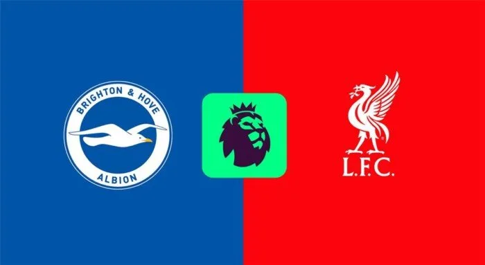 البث المباشر لمباراة ليفربول وبرايتون في الدوري الإنجليزي اليوم