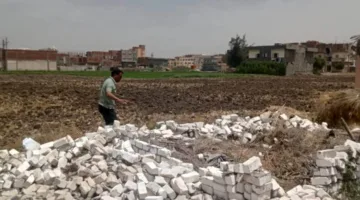 البحيرة.. استعادة 3896 مترًا من أراضي الدولة في حملة لإزالة التعديات
