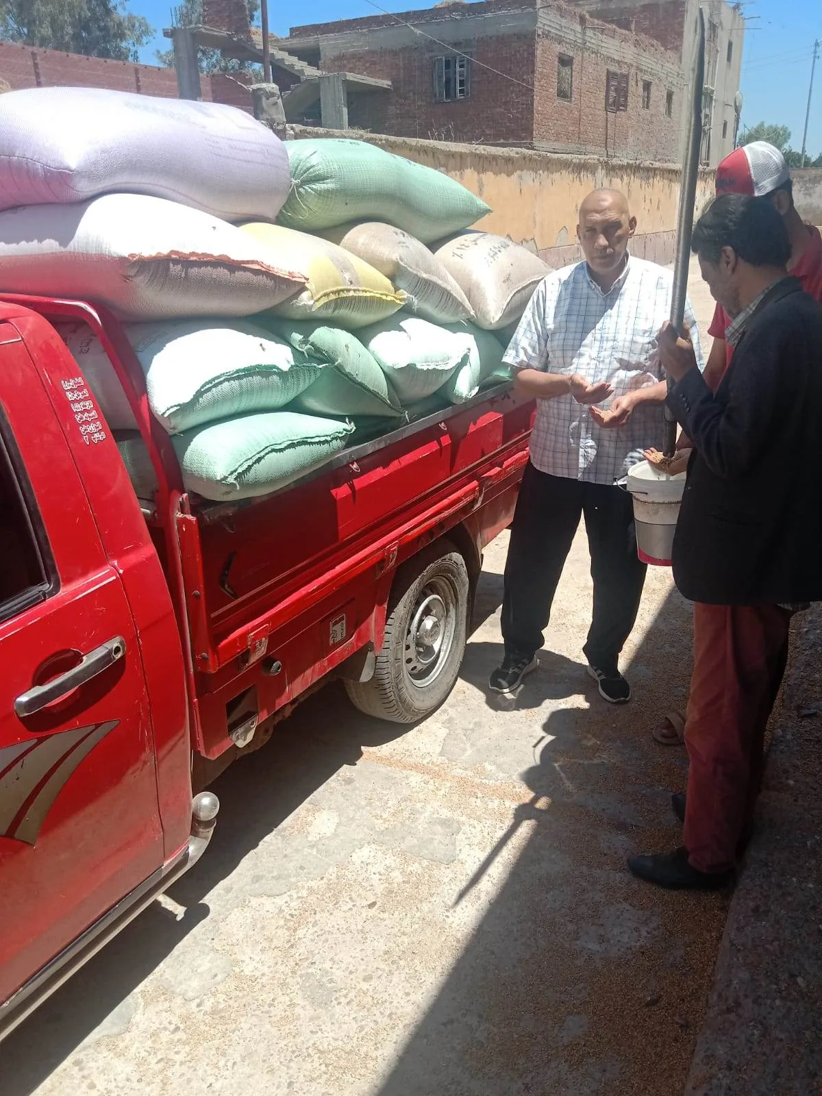 البحيرة: استلام أكثر من 210 آلاف طن من القمح في مخازن وصوامع البحيرة البحيرة: استلام أكثر من 210 آلاف طن من القمح في مخازن وصوامع البحيرة