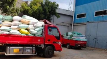 البحيرة: توريد 54169 طن قمح لشون وصوامع المحافظة
