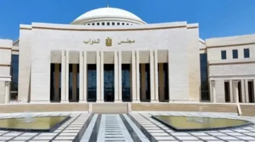 ممثل اتحاد المستأجرين للنواب: نحتاج إلى تشريع عادل يُطبّق حكم المحكمة الدستورية 2024