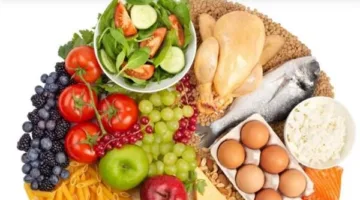 البروتين الحيواني ليس الأفضل لبناء العضلات