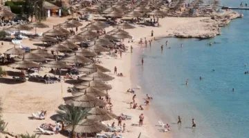 البنك المركزي: ارتفاع ايرادات السياحة بمصر لـ8.7 مليار دولار في 6 أشهر
