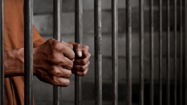 التحفظ على خفير تعدى على طفلة بشبين القناطر التحفظ على خفير تعدى على طفلة بشبين القناطر