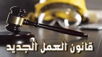 التشريع العملي الجديد يفتح آفاقًا للوظائف غير التقليدية مع توفير ضمانات متكاملة