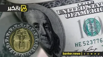 الجنيه يتفوق على الدولار في أسبوع الإيجابيات: ماذا يحدث في سوق العملات الأجنبية؟