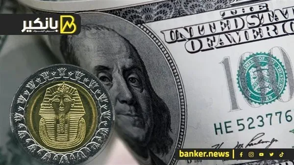 الجنيه يتفوق على الدولار في أسبوع الإيجابيات: ماذا يحدث في سوق العملات الأجنبية؟ الجنيه يتفوق على الدولار في أسبوع الإيجابيات: ماذا يحدث في سوق العملات الأجنبية؟