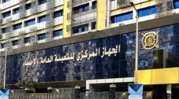 الجهاز المركزي للإحصاء: انخفاض معدل البطالة إلى 6.3% في الربع الأول من عام 2025