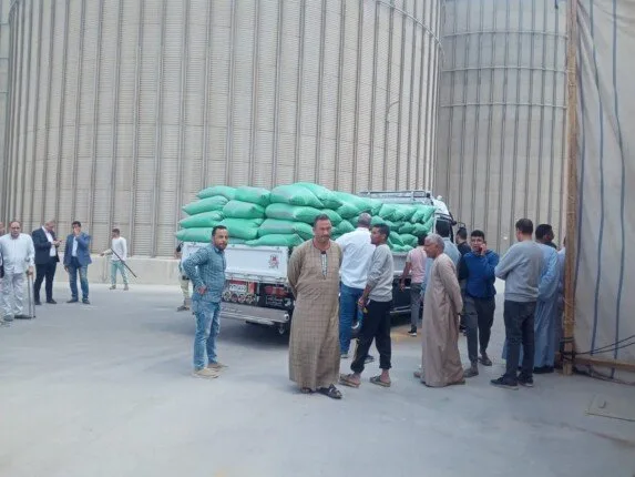 الجيزة تستقبل 66 ألف طن قمح بالشون والصوامع منذ بداية الحصاد الجيزة تستقبل 66 ألف طن قمح بالشون والصوامع منذ بداية الحصاد