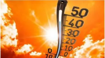 الحرارة هتوصل 35 درجة .. الأرصاد تكشف عن تفاصيل طقس الساعات المقبلة