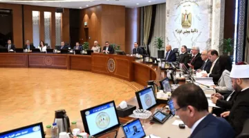 الحكومة: توريد 1.4 مليون طن قمح حتى الآن.. و«المالية» تصرف المليارات الثلاثة الخاصة بمحصول القطن