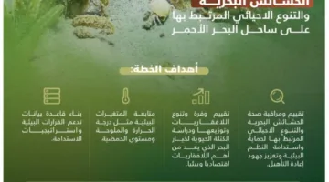 الحياة البرية تُطلق استراتيجية لمتابعة النباتات البحرية والتنوع البيولوجي المرتبط بها على طول سواحل البحر الأحمر