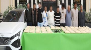«الداخلية» تسقط متهمين جدد في واقعة جلب الحشيش الاصطناعي