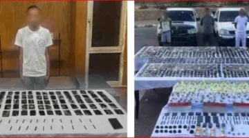 الداخلية تضبط 4 عناصر إجرامية عثر بحوزتهم على مواد مخدرة بجنوب سيناء