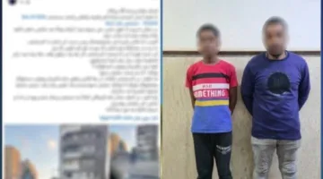 الداخلية تضبط عاطلين تعدوا على سيدة رفضت دفع أموالا لركن السيارة