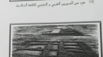 الدفاع عن الحضارة تطالب بإعادة نشر كشف قلاع تل أبو صيفى بشمال سيناء