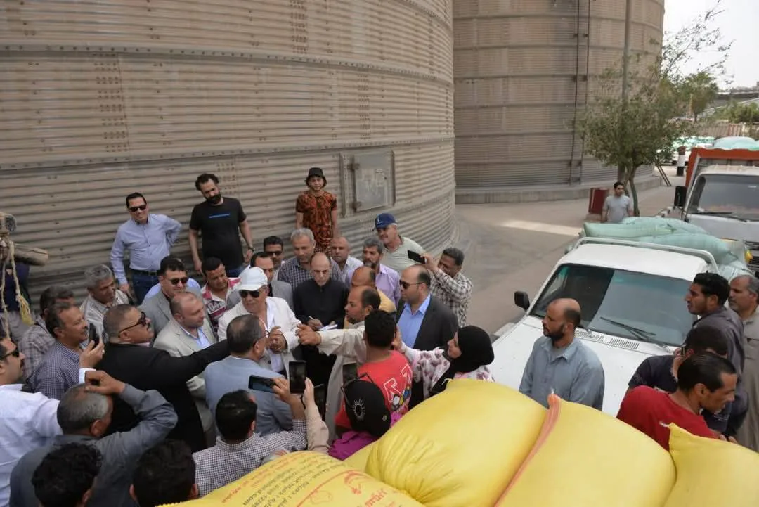 الدقهلية: توريد 112 ألف طن قمح محلي للشون والصوامع الدقهلية: توريد 112 ألف طن قمح محلي للشون والصوامع