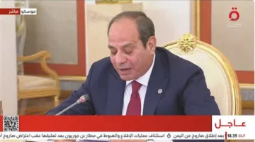الرئيس السيسى: مصر تتطلع إلى مزيد من التعاون المشترك مع روسيا