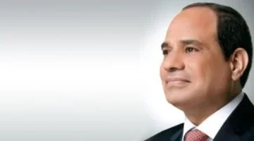 الرئيس السيسى يوجه بتنفيذ مبادرة لتنمية مهارات الشباب لتأهيلهم لسوق العمل