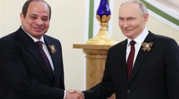 عمرو الديب: التنسيق بين مصر وروسيا يُعدّ عاملًا محوريًا في مواجهة التحديات