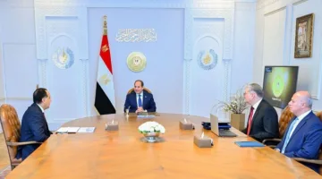 الرئيس السيسي يأمر برفع مستوى استقرار الطاقة الكهربائية وزيادة إنتاج النفط والغاز
