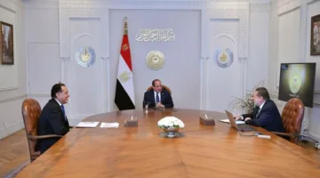 الرئيس السيسي يبرز ضرورة تقوية الاحتياطي الأجنبي وتعزيز دور القطاع الخاص في دفع النمو الاقتصادي
