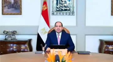 الرئيس السيسي يناقش تعزيز التعاون الاقتصادي والتجاري مع نظيره من جنوب أفريقيا