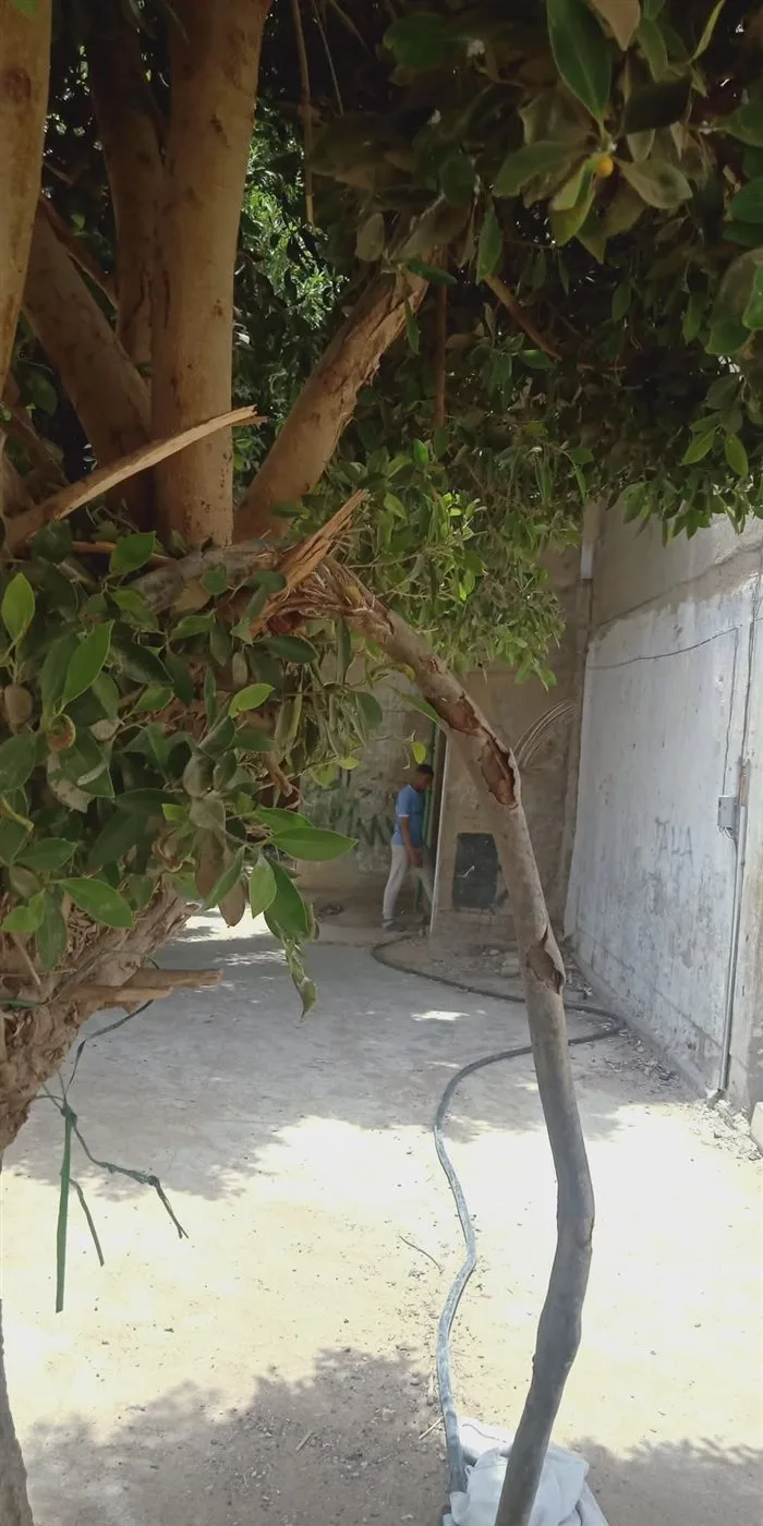 الرعاية الإلهية تنقذ طفلين تعرضا لصعق كهربائي في شهر أكتوبر الرعاية الإلهية تنقذ طفلين تعرضا لصعق كهربائي في شهر أكتوبر