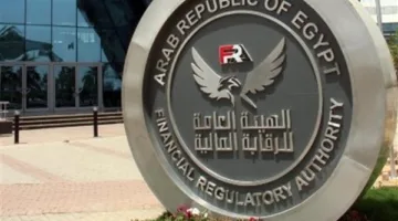 الرقابة المالية تحذر من الانجراف وراء دعوات الاستثمار في العملات الافتراضية المشفرة