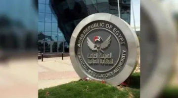 الرقابة المالية توافق على تأسيس شركة جديدة للتمويل متناهي الصغر
