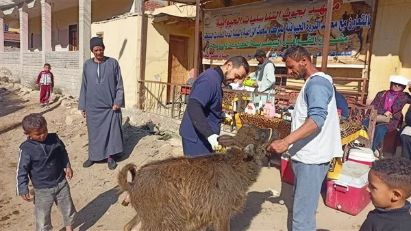 “الزراعة” تبدأ بتنظيم قوافل بيطرية مجانية لرعاية أكثر من 15 ألف حيوان وطائر. “الزراعة” تبدأ بتنظيم قوافل بيطرية مجانية لرعاية أكثر من 15 ألف حيوان وطائر.