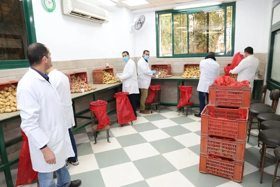الزراعة تستعرض أبرز أنشطة مكافحة العفن البني في البطاطس خلال ابريل الماضي الزراعة تستعرض أبرز أنشطة مكافحة العفن البني في البطاطس خلال ابريل الماضي