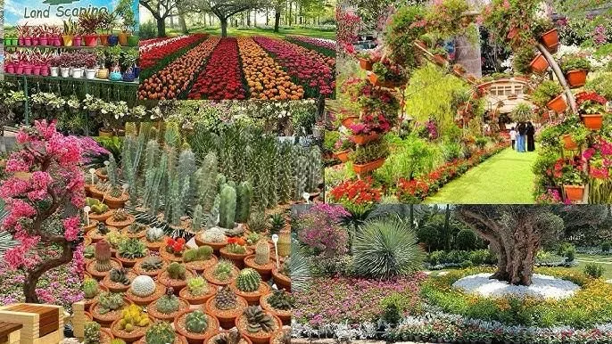 الزراعة تقرر تمديد فعاليات معرض زهور الربيع حتى نهاية شهر مايو الحالي الزراعة تقرر تمديد فعاليات معرض زهور الربيع حتى نهاية شهر مايو الحالي