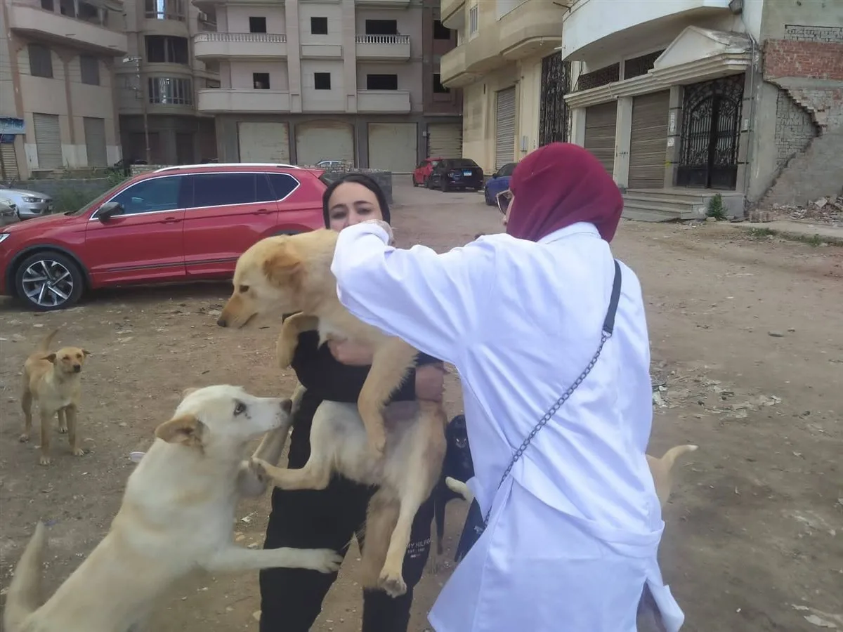 الزراعة تكثف جهودها لرصد الأمراض الوبائية الحيوانية وتوسع التحصينات الوقائية للبروسيلا والسل الزراعة تكثف جهودها لرصد الأمراض الوبائية الحيوانية وتوسع التحصينات الوقائية للبروسيلا والسل