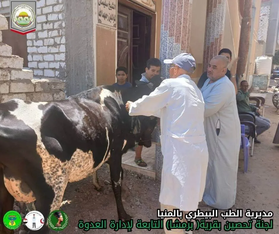 الزراعة: توفير أكثر من 6.8 مليون جرعة لضمان حماية الماشية من الحمى القلاعية والوادي المتصدع