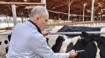 “الزراعة”: رصد الأمراض الوبائية الحيوانية والتغطية لتحصينات البروسيلا والسل خلال أبريل