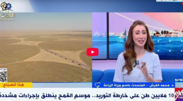 الزراعة: نستهدف الوصول لـ 10 ملايين طن قمح هذا العام (فيديو)