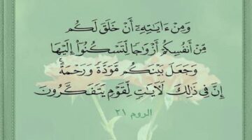 الزوجان .. حقوق وواجبات متبادلة