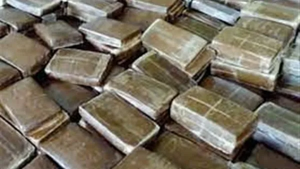 السجن المشدد 15 عامًا لـ3 متهمين بحيازة 146 فرش حشيش بجنوب سيناء السجن المشدد 15 عامًا لـ3 متهمين بحيازة 146 فرش حشيش بجنوب سيناء