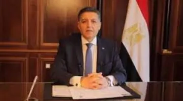 السفير عمر عامر: مصر تدخل في مجال الطاقة الجديدة بخطوات واسعة